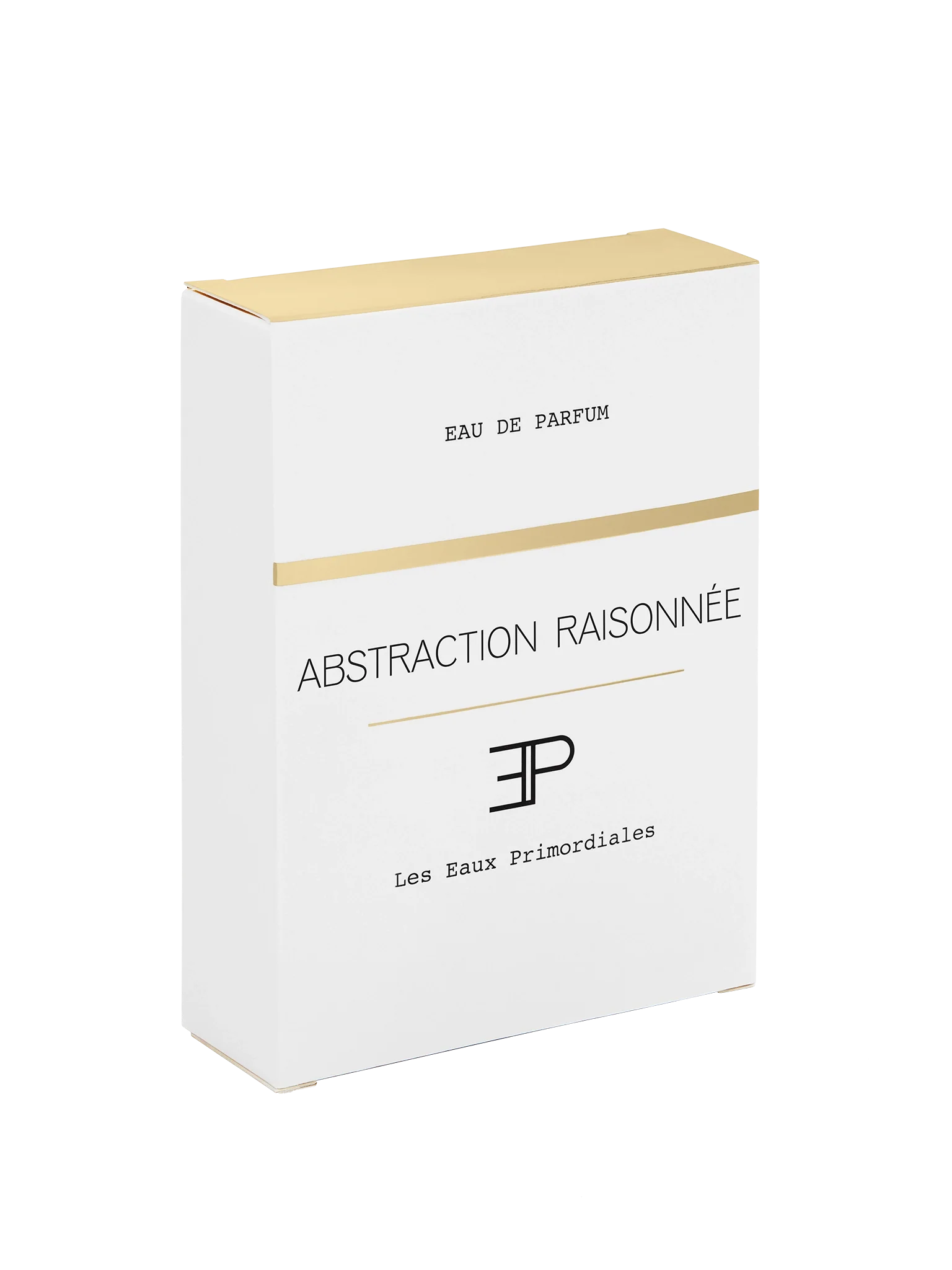 ABSTRACTION RAISONNÉE